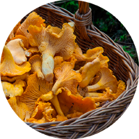 Тихая охота Image